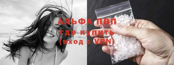 шишки Кукмор