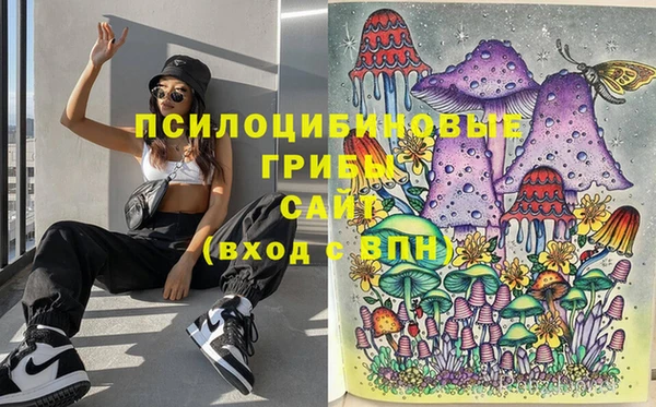 шишки Кукмор