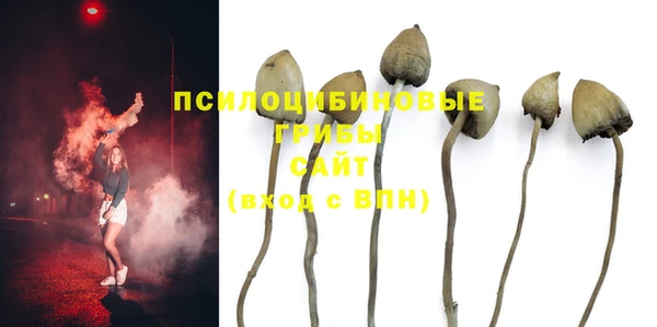 шишки Кукмор